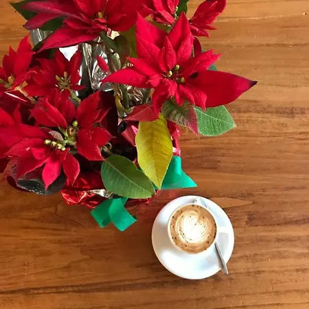 Casa Tabarini Gæstehus 4*